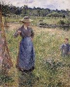 Camille Pissarro The Tedder oil painting on canvas